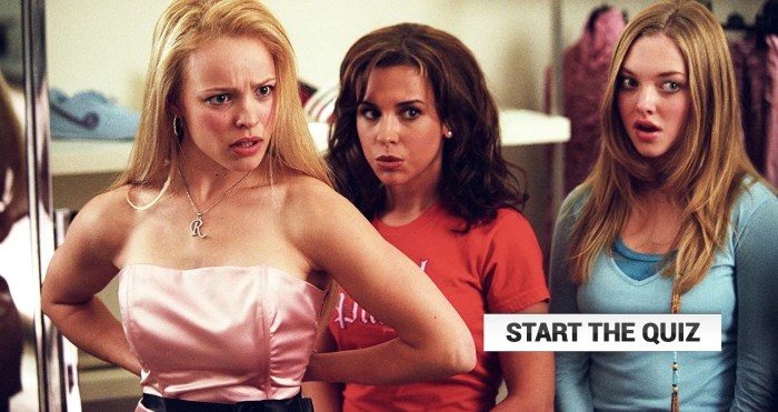 Nerd or mean girl quiz