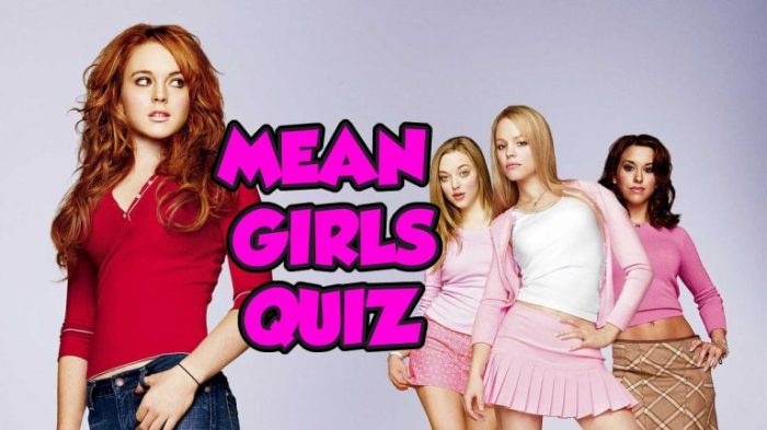 Nerd or mean girl quiz