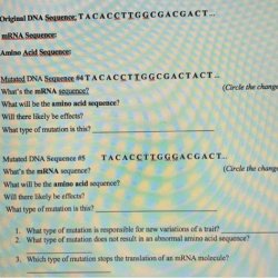 Mutations worksheet deletion insertion and substitution