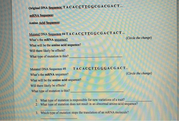 Mutations worksheet deletion insertion and substitution